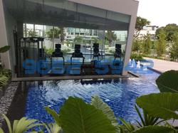 Sky Green (D13), Condominium #103626512